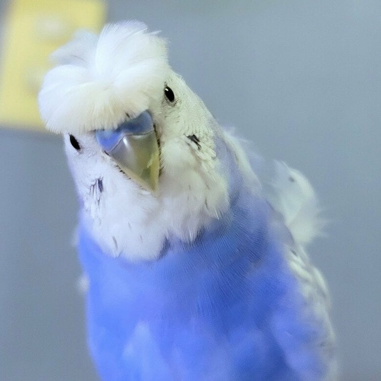 いのりさんの発した言葉に何かピンと来た時の表情