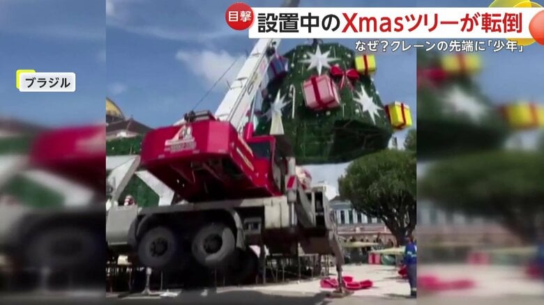 クレーンで運んでいたクリスマスツリー
