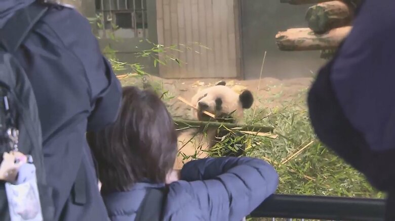 最終観覧日のシャンシャン（19日）