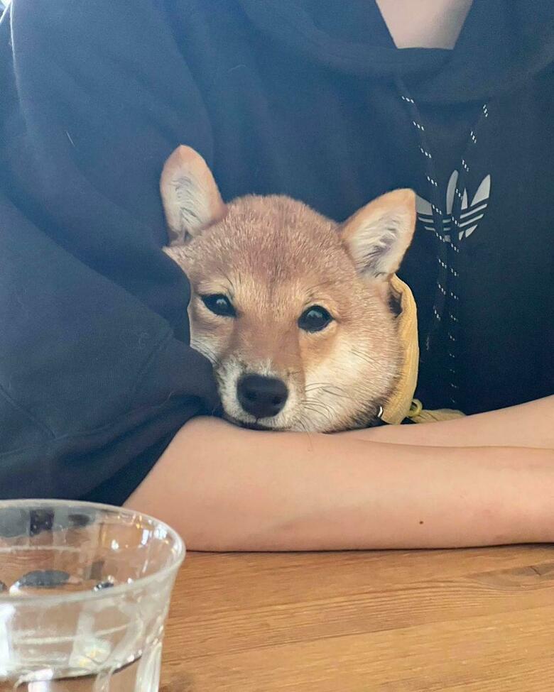 提供：まめふく&ゆめくりさん