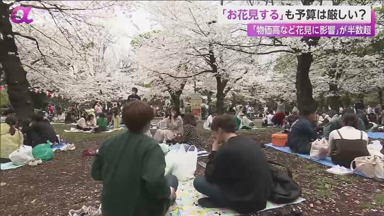 桜の下でレジャーシートを広げて、花見を楽しむ人