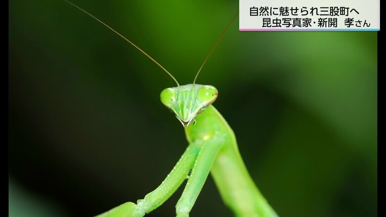 カマキリの顔のどアップをパシャリ