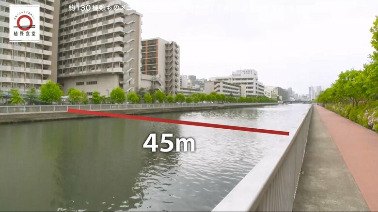 松坂大輔さんが少年時代にキャッチボールをしたという運河