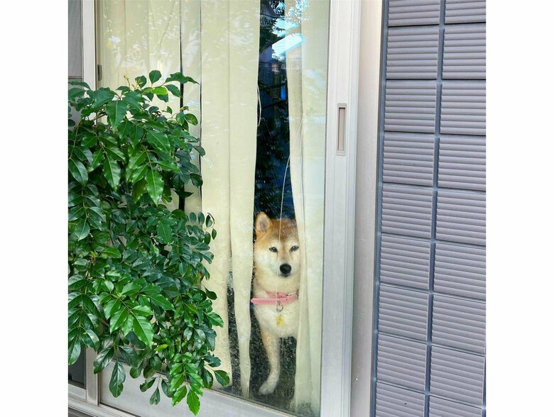 提供：橋本真実さん