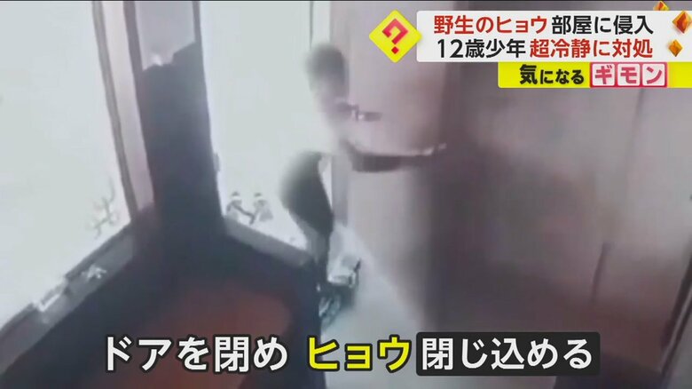 冷静にオフィスのドアを閉め、ヒョウを閉じ込める少年の様子