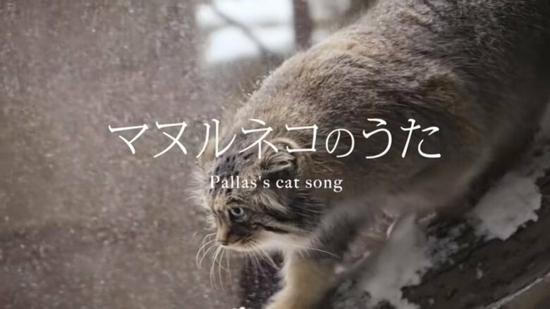 出典：那須どうぶつ王国公式YouTube