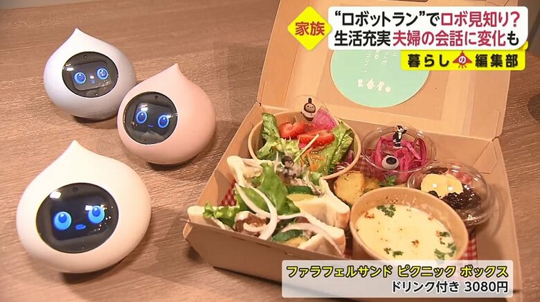 ファラフェルサンド　ピクニック　ボックス　ドリンク付き3080円