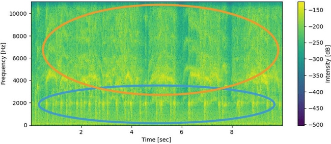 音声データを視覚的に表現した図 （オレンジ線：鳥の鳴き声、青線：タイワンリスの鳴き声）