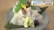 味わいは「白身のトロ」岡山理科大学が世界初の陸上養殖に成功した幻の魚・タマカイが四国で初提供【香川】