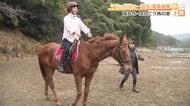 G1経験も…競走馬の“セカンドライフ”　午年に訪れたいサラブレッドと触れ合える乗馬クラブ　雨でも雪でも…初心者でも安心　福井