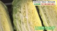 レタスは2.5倍、白菜やキャベツは2倍　葉物野菜の高騰でスーパーは販売に苦慮　お得な土物野菜で家庭の献立に変化も　福井　