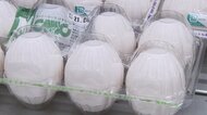 お好み焼き店「我慢して買う」　タマゴ価格が高騰　過去5年で最も高く…原因は鳥インフル【岡山発】