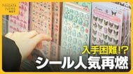 入荷も即完売！“ボンボンドロップシール”の魅力とは？平成女児ブームで“シール”人気再燃「子どもと一緒にハマっている」