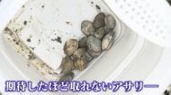 人気の『潮干狩り』なのにアサリが…  全国有数の産地でも激減  自治体は回復に向け取り組むが… 【福岡発】