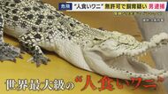 「一般の方が飼えるような条件はない」“世界最大級・人食いワニ”の飼育員　イリエワニなどを無許可で飼育か　ペットショップ経営の男を逮捕　周囲には小学校も
