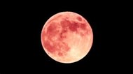 ポーランド戦の夜空にハム?