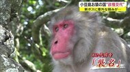 政権交代 4年ぶりに「新ボス」12代目トラ誕生 喧嘩早いが花粉症…お猿の国【香川・土庄町】