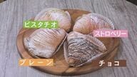 サクサク50層の新食感…住宅街に店を構えるイタリアンスイーツ専門店 200年以上の伝統菓子を本場の製法で再現