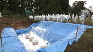 秋田県内で初 家畜の埋却処分演習 秋田・大仙市