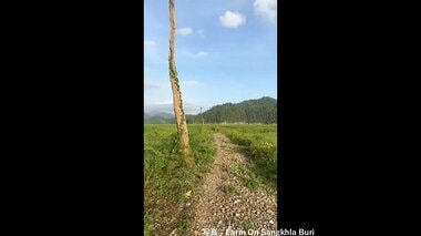 ダムの水位低下し水没していた第二次世界大戦中の「死の鉄道」駅跡が姿現す　映画「戦場…