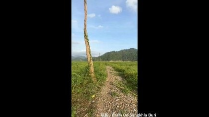 ダムの水位低下し水没していた第二次世界大戦中の「死の鉄道」駅跡が姿現す　映画「戦場にかける橋」の舞台　タイ