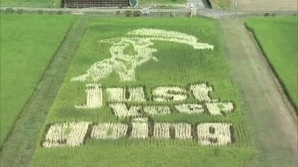 暑い夏に「ｊｕｓｔ　ｋｅｅｐ　ｇｏｉｎｇ」の文字くっきり！美作市の「永ちゃん田んぼ」が見頃【岡山】