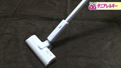 秋は「ダニアレルギー」に注意　干した布団をたたくのはNG…効果的な換気と掃除法は？医師に聞く対策