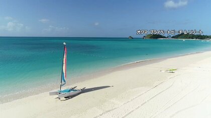 「奇跡の森」「クリアサップ」コロナに負けない沖縄の絶景と「空港PCR」など独自の感染対策