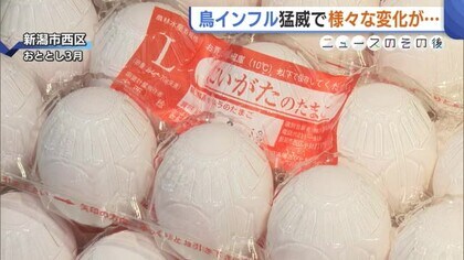 新潟県内では約257万羽のニワトリ殺処分…“鳥インフル”が猛威振るった22年度 卵の価格や対策に変化「万全の態勢整えたい」