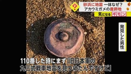 旧日本軍・九三式戦車地雷】アカウミガメ産卵地で…元自衛隊員・男性が