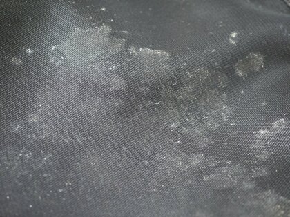 久しぶりに見たらカビが…（画像はイメージ）