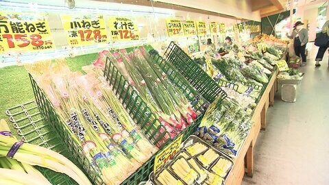 ハクサイ・ネギはお買い得続く ジャガイモ・タマネギは高値続く