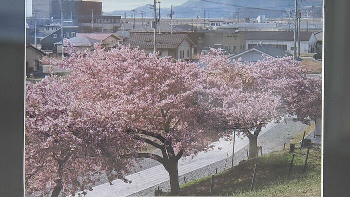 2023年4月撮影：住宅が並ぶ