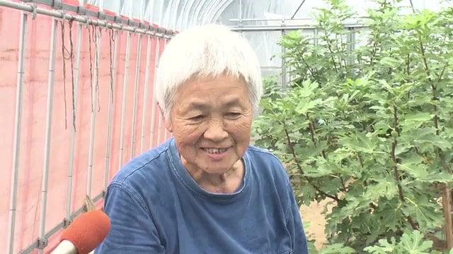 震災当時は農業ができるような状態ではなかった