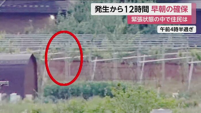 その後、男は警察に身柄を確保された(26日午前4時半すぎ)