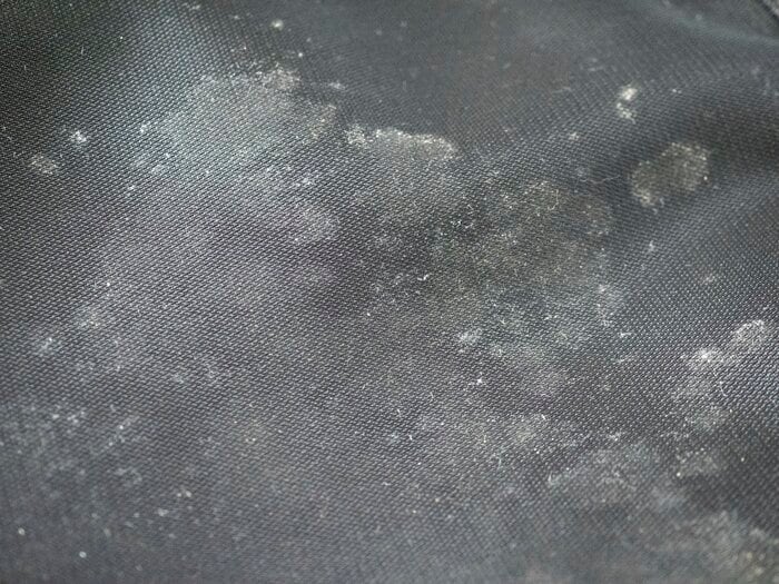 久しぶりに見たらカビが…（画像はイメージ）