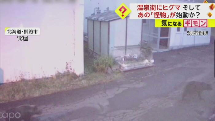 クマは2頭いた
