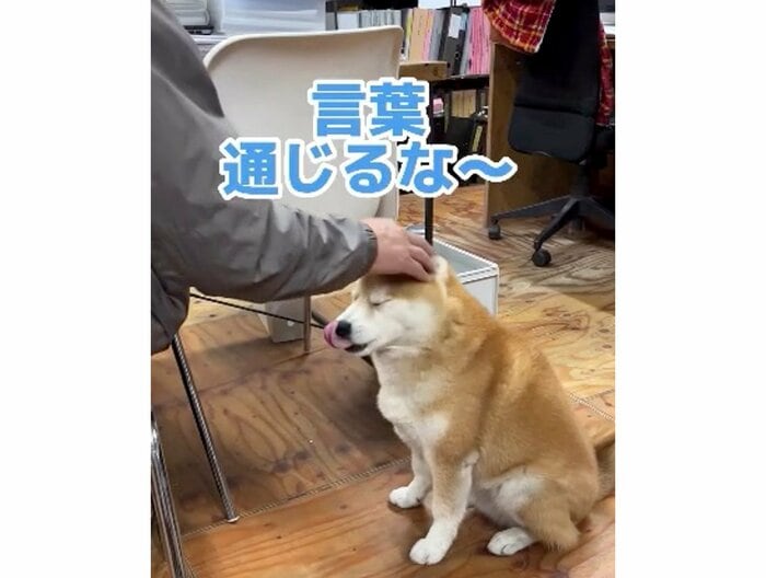 提供:エイトデザイン