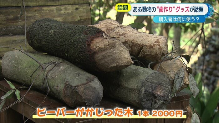 ビーバーの飼育舎前で販売中