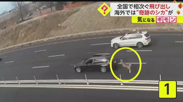黒い車をよけた