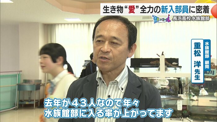 なんと8割以上を占める52人が水族館部に入部
