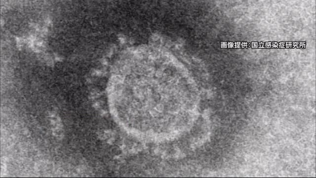 新たに3人感染確認 県内174人に