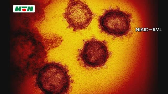 【速報】4回の検査で陽性確認 雲仙市の女性が新型コロナ感染