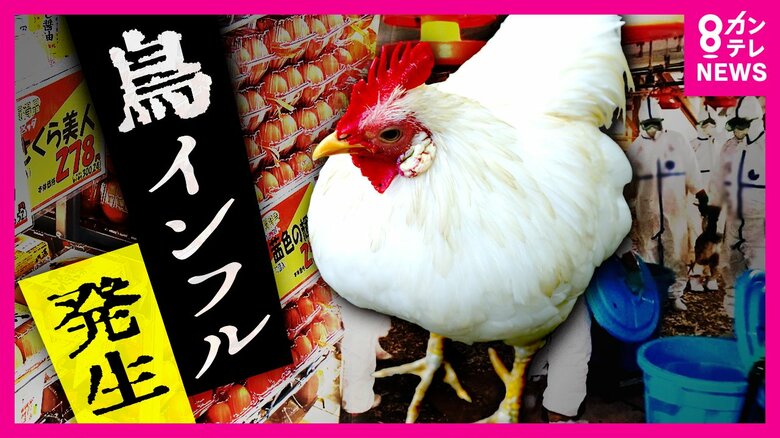 北海道で過去一早い「鳥インフル」発生　過去に“殺処分”の養鶏場は厳戒態勢　価格高騰続く「卵」に危機　「エッグショック」再来するか｜FNNプライムオンライン