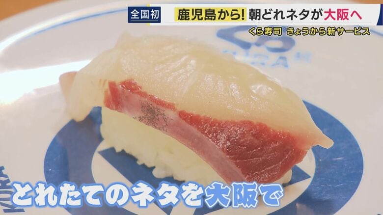 新幹線で輸送「朝に鹿児島でとれた魚」をその日のうちに「大阪」で　トラックに比べ40時間も短縮　くら寿司で全国初のサービス　「大阪にいながら鹿児島に旅行した気分に」｜FNNプライムオンライン