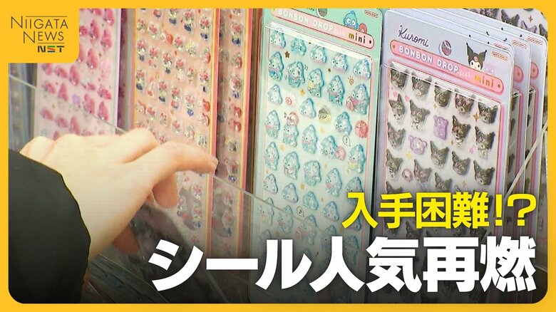 入荷も即完売！“ボンボンドロップシール”の魅力とは？平成女児ブームで“シール”人気再燃「子どもと一緒にハマっている」｜FNNプライムオンライン