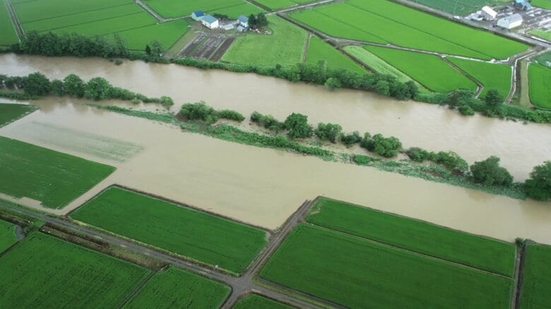 記録的な大雨で“雨竜川”が氾濫 水田が冠水し稲が横倒しになる被害 一夜明け農家は復旧作業に追われる「早く助けてあげたい」 収穫量の減少に不安も｜FNNプライムオンライン