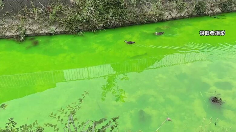 “ちはやふる”百人一首の名所・竜田川が蛍光の緑色に…上流に赤い粉　入浴剤に使われる発色剤成分を検出　奈良｜FNNプライムオンライン