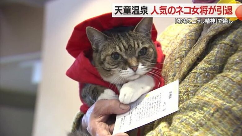 人気の「ネコ女将」が引退“おもてニャし精神”で12年にわたり宿泊客を出迎え　多くのファンが別れ惜しむ【山形発】｜FNNプライムオンライン