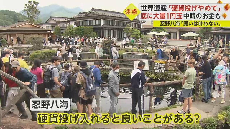 池を管理する忍野村教育委員会に聞くと…